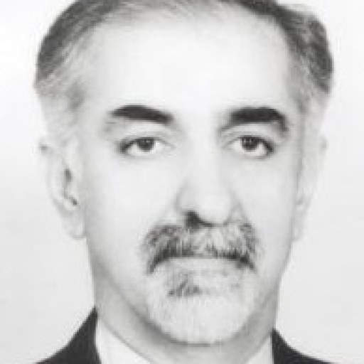 تصویر ناصر علا الدینی