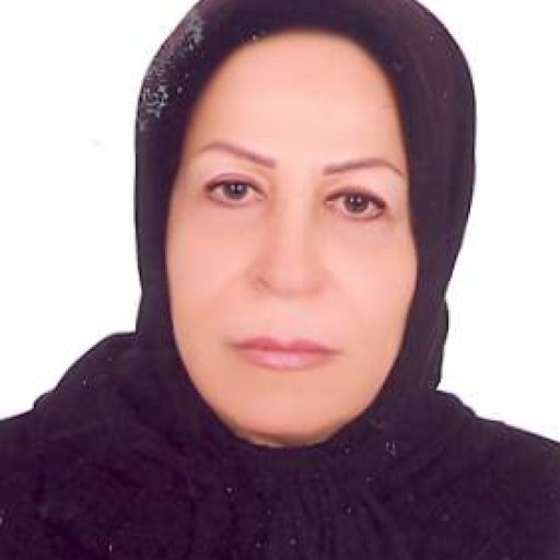 تصویر زهرا امیر افشاری
