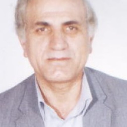 تصویر حسین نجف پورمیری