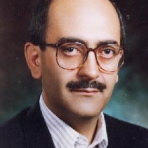 تصویر محمد صالحی راد