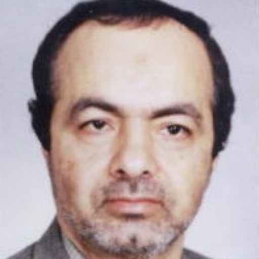 تصویر حسن صادقی گل