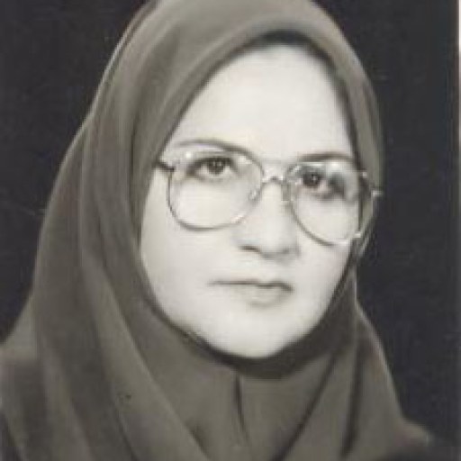 تصویر فریده سیاسی فر