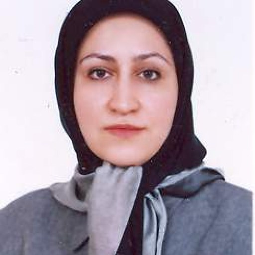 تصویر مریم السادات محقق