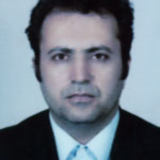 تصویر بهرام دیوانی