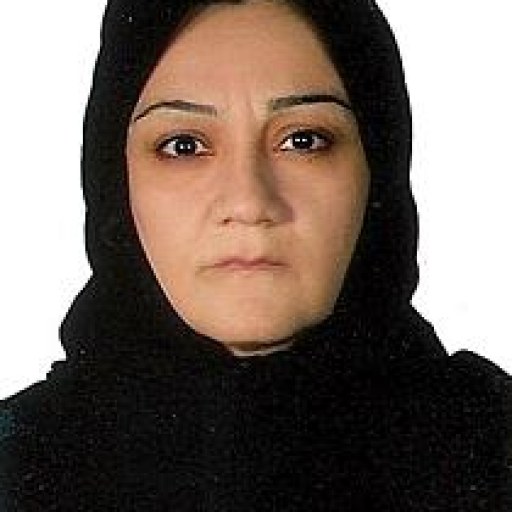 تصویر فیروزه شهوردیخانی