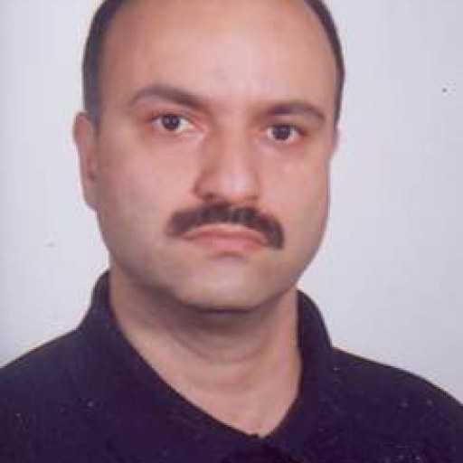 تصویر سیامک قاجارقیونلو