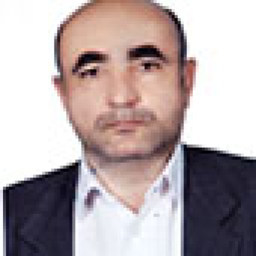 تصویر اصلان همت پور بارانی