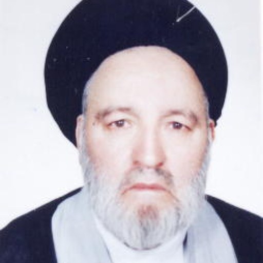 تصویر سید خالص حسینیان