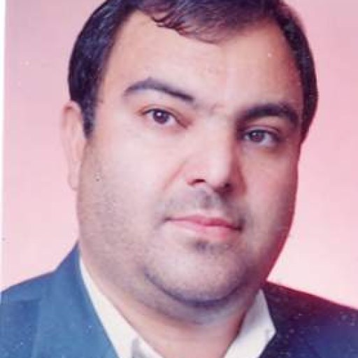 تصویر حجت اله سلیمی
