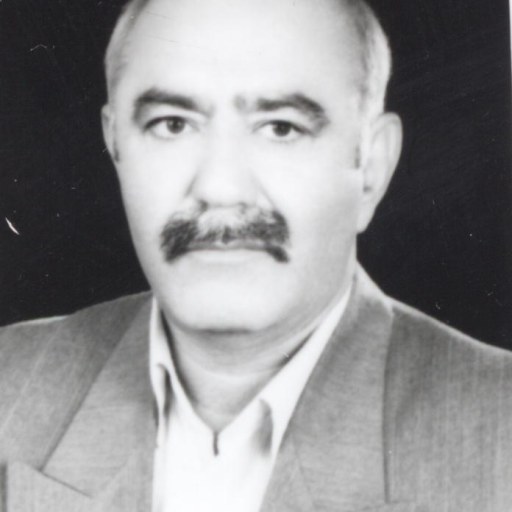 تصویر امیر حسین الوان ساز یزدی