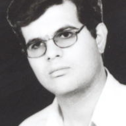 تصویر محمدرضا ربانی فر