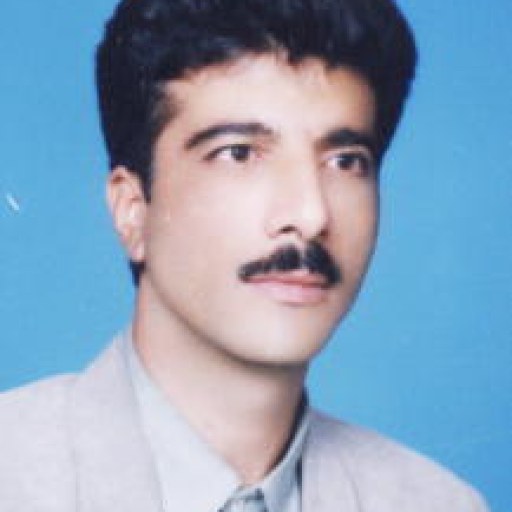 تصویر محمدرضا لطفی