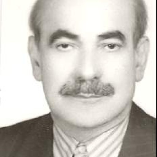 تصویر رضا حاتمی علمداری