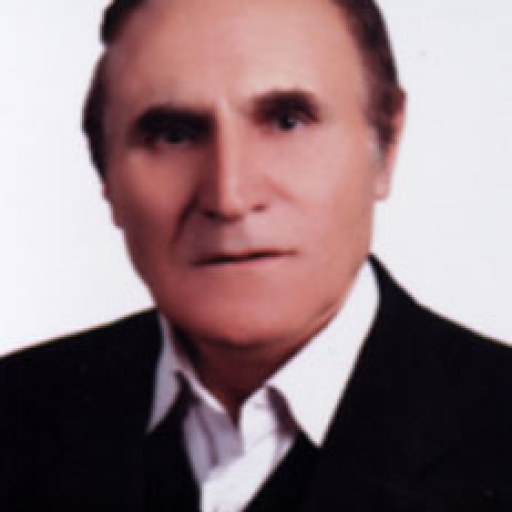 تصویر اژدر پنچ آذر حبشی