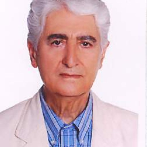 تصویر عباس حیدری مهر