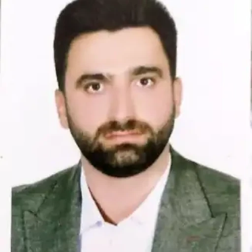 تصویر حسین میرزاپور