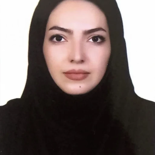 تصویر مینا افشون