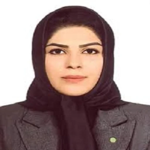 تصویر سیده المیرا آتشی