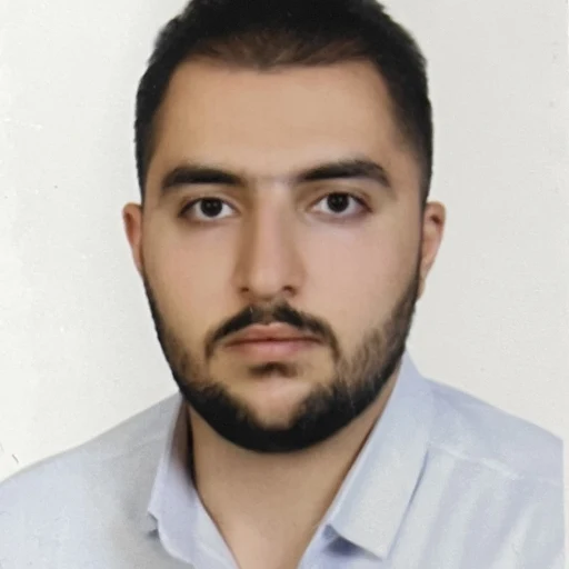 تصویر مهدی محمدی سیداحمدیانی
