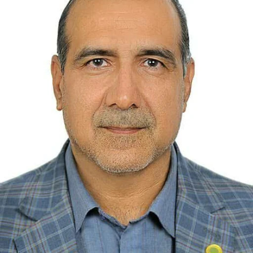 تصویر عبدالصمد محمدی مقدم
