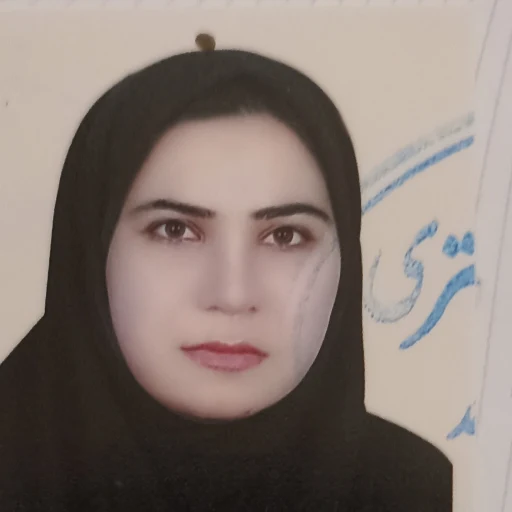 تصویر زینب راه پیما