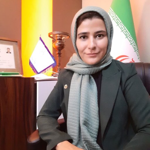 تصویر بتول محسن ابادی