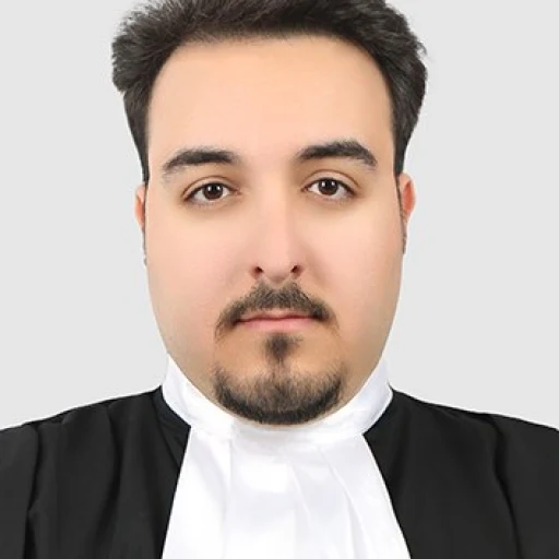 تصویر سید بهنام میرپنهان