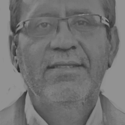 تصویر محمد کریم ایرانی
