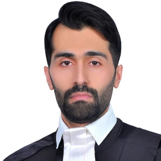 تصویر سید میلاد حسینی