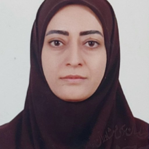 تصویر حوا عرب انصاری